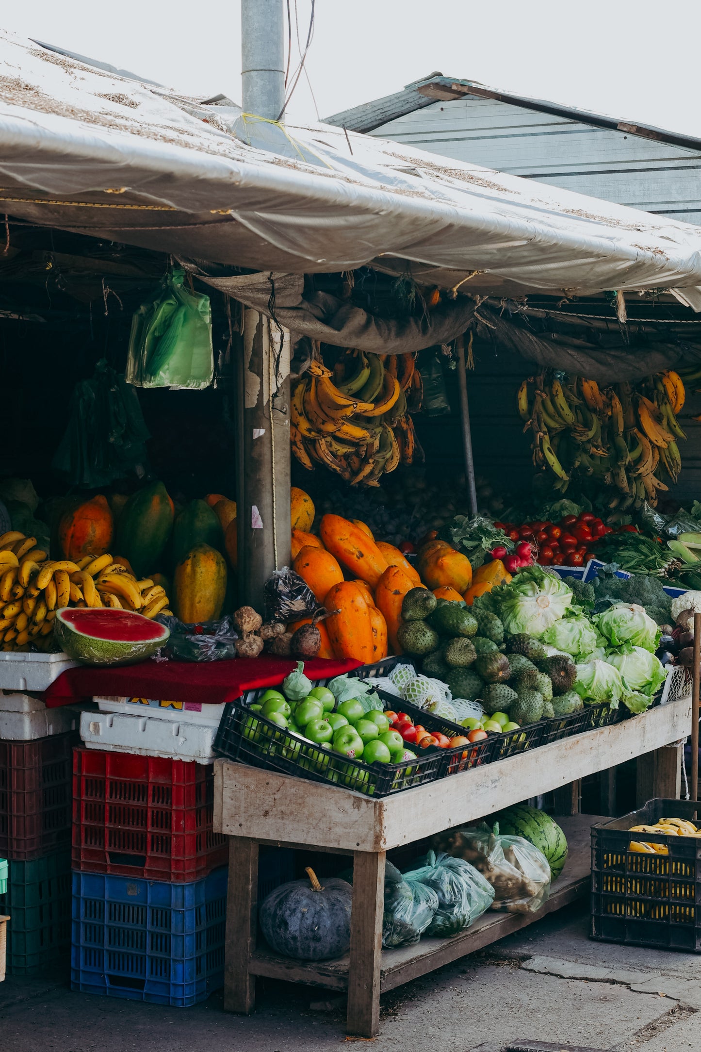 Fruta