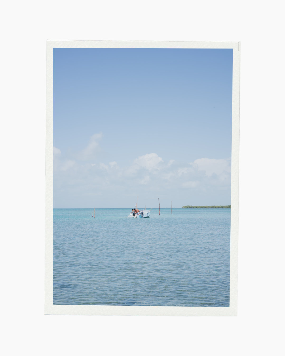 Pesca Con Carnada