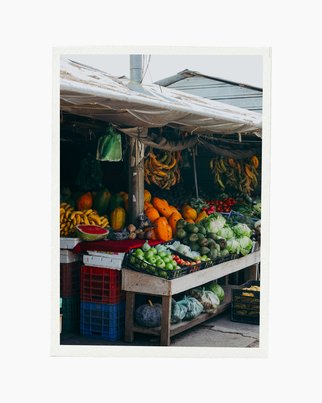 Fruta