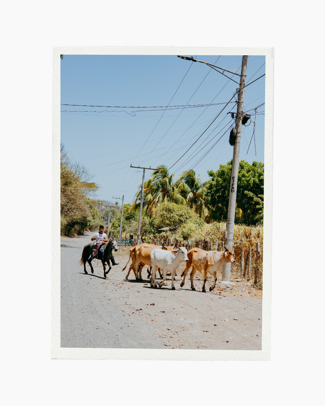 Camina Rural