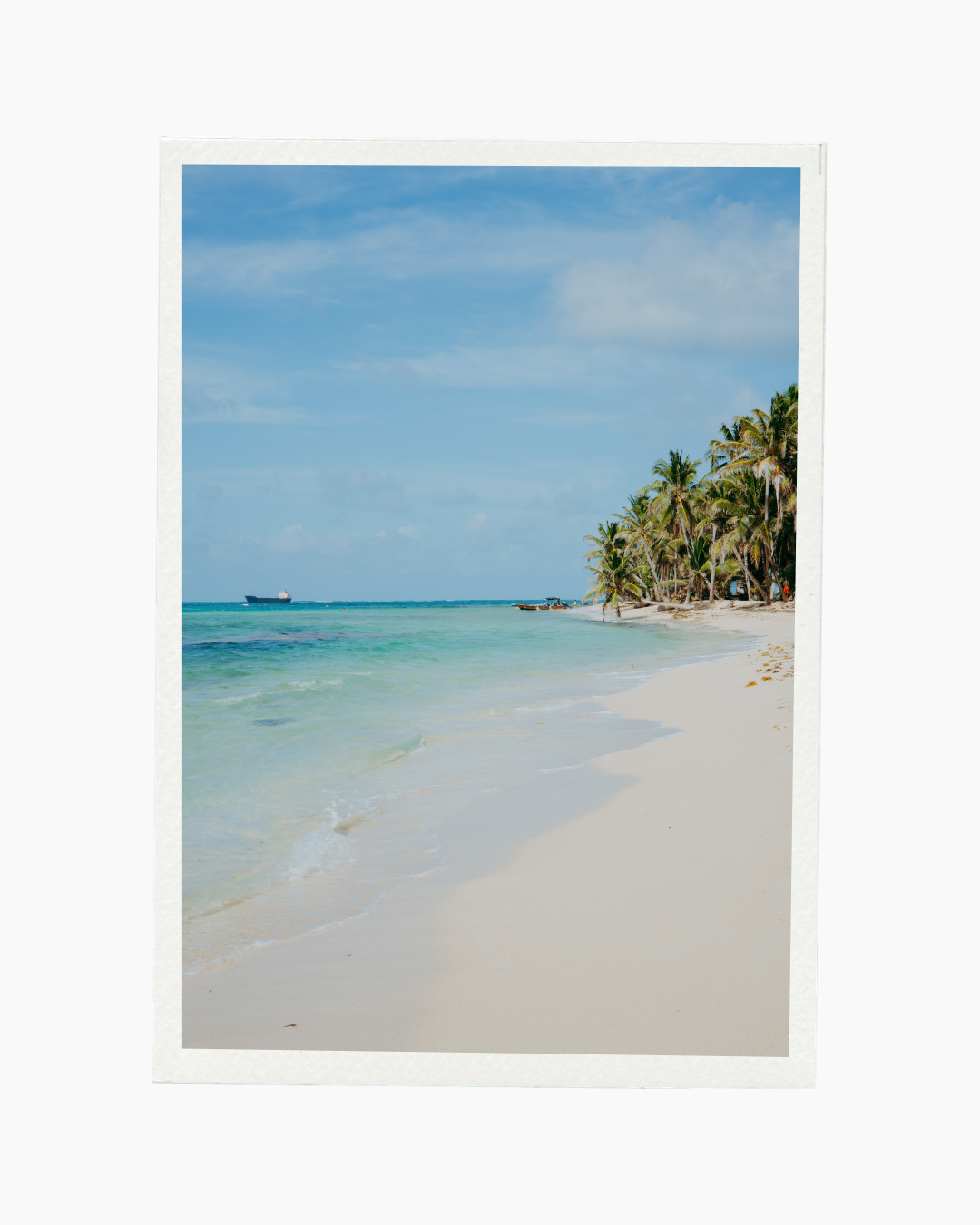 Palmas