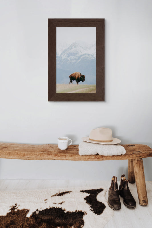 Buffalo II
