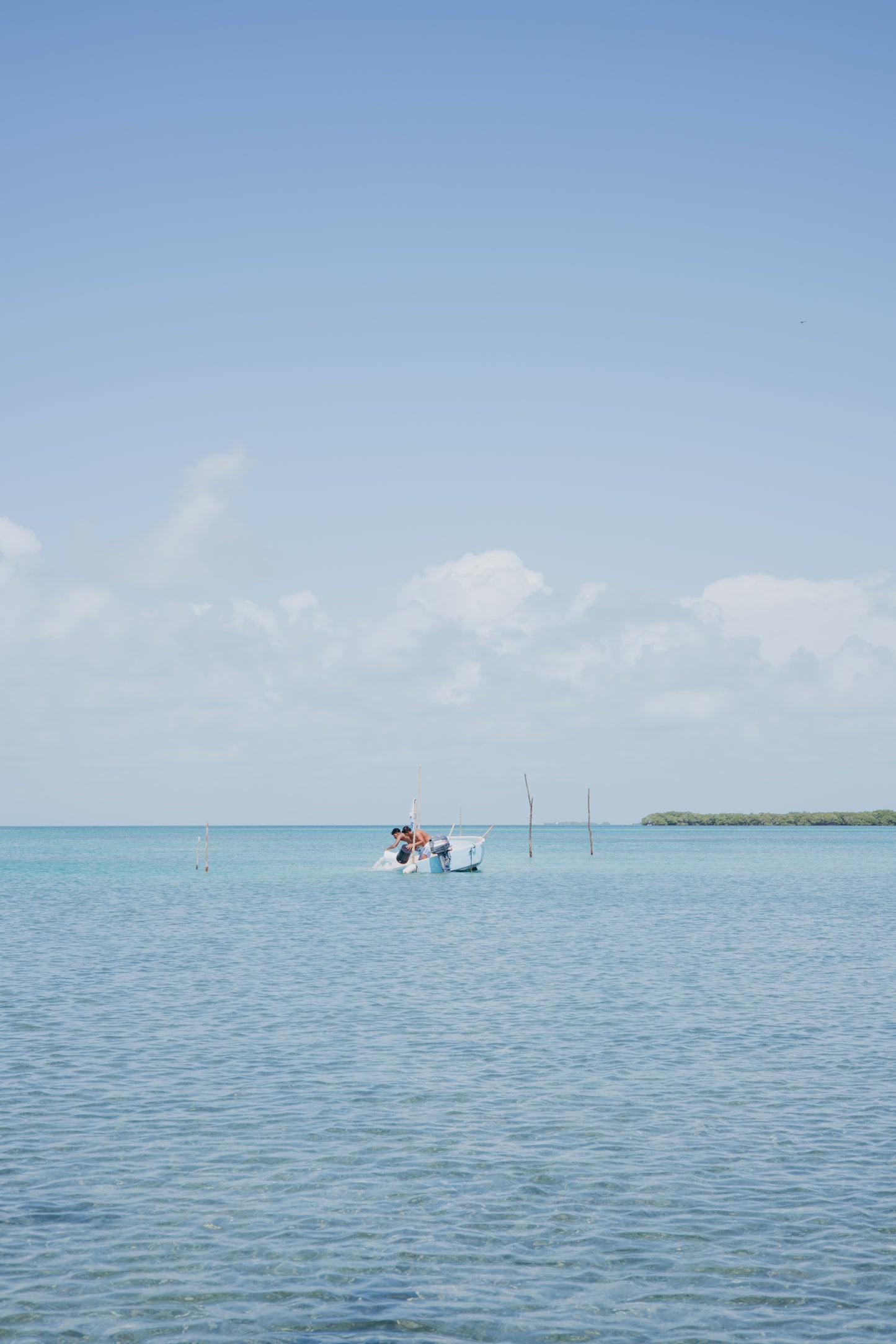 Pesca Con Carnada