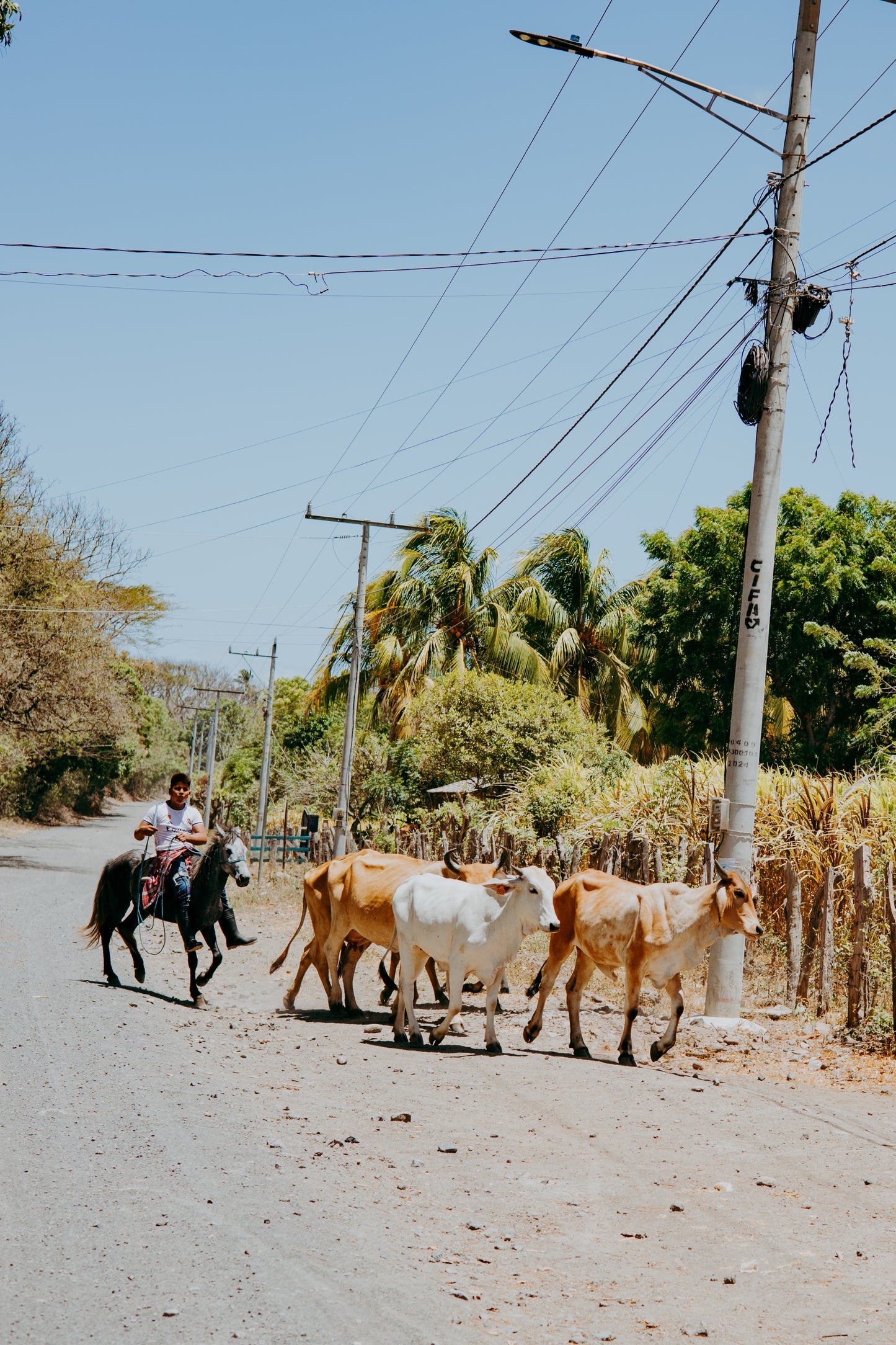 Camina Rural