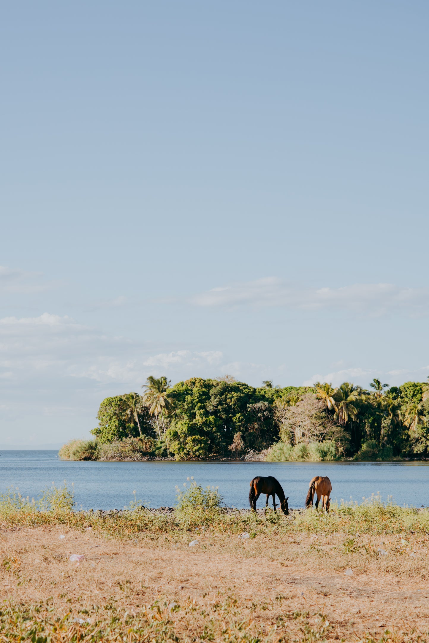 Dos Caballos