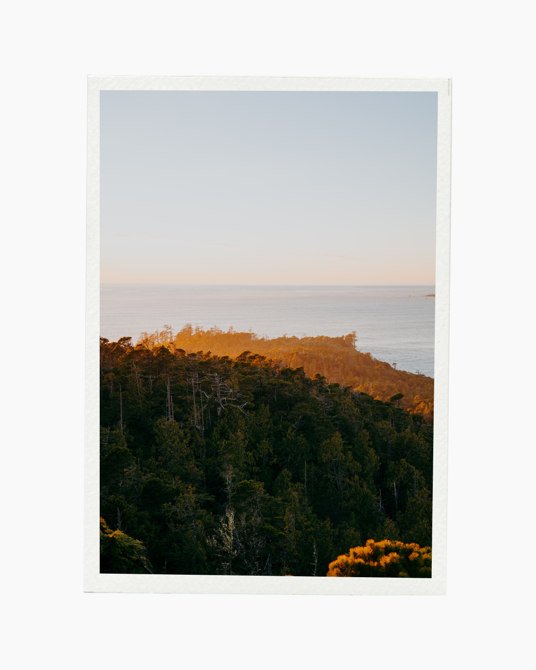Treeline